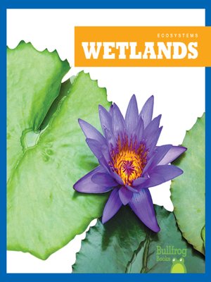 cover image of Wetlands